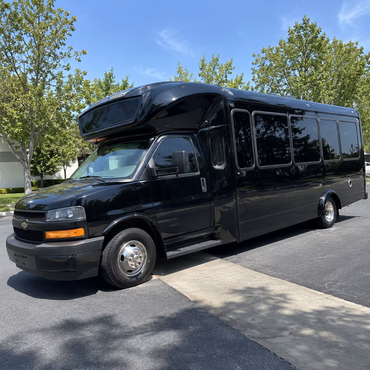 detroit 15 passenger party bus