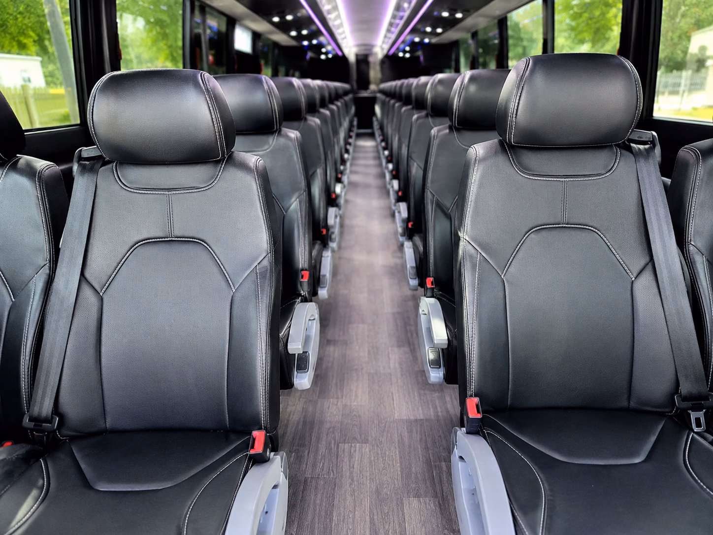 school buses for detroit zoo field trips in royal oak